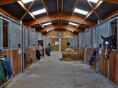 Stalles en acier pour animaux Stalles metal pour animaux
